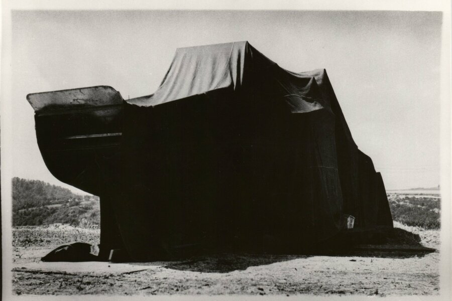 Vilém Reichmann, Metamorfózy, Maslodoul, 1952; foto: Vilém Reichmann